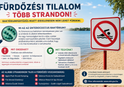 Fürdőzési tilalom több strandon – Mit jelent az Enterococcus baktérium, és miért kell komolyan venni? Fürdőzési tilalom több strandon – Mit jelent az Enterococcus baktérium, és miért kell komolyan venni?