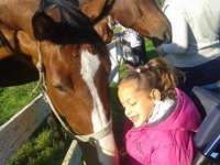 Ne a család anyagi helyzetén múljon a lovasterápiához való hozzáférés